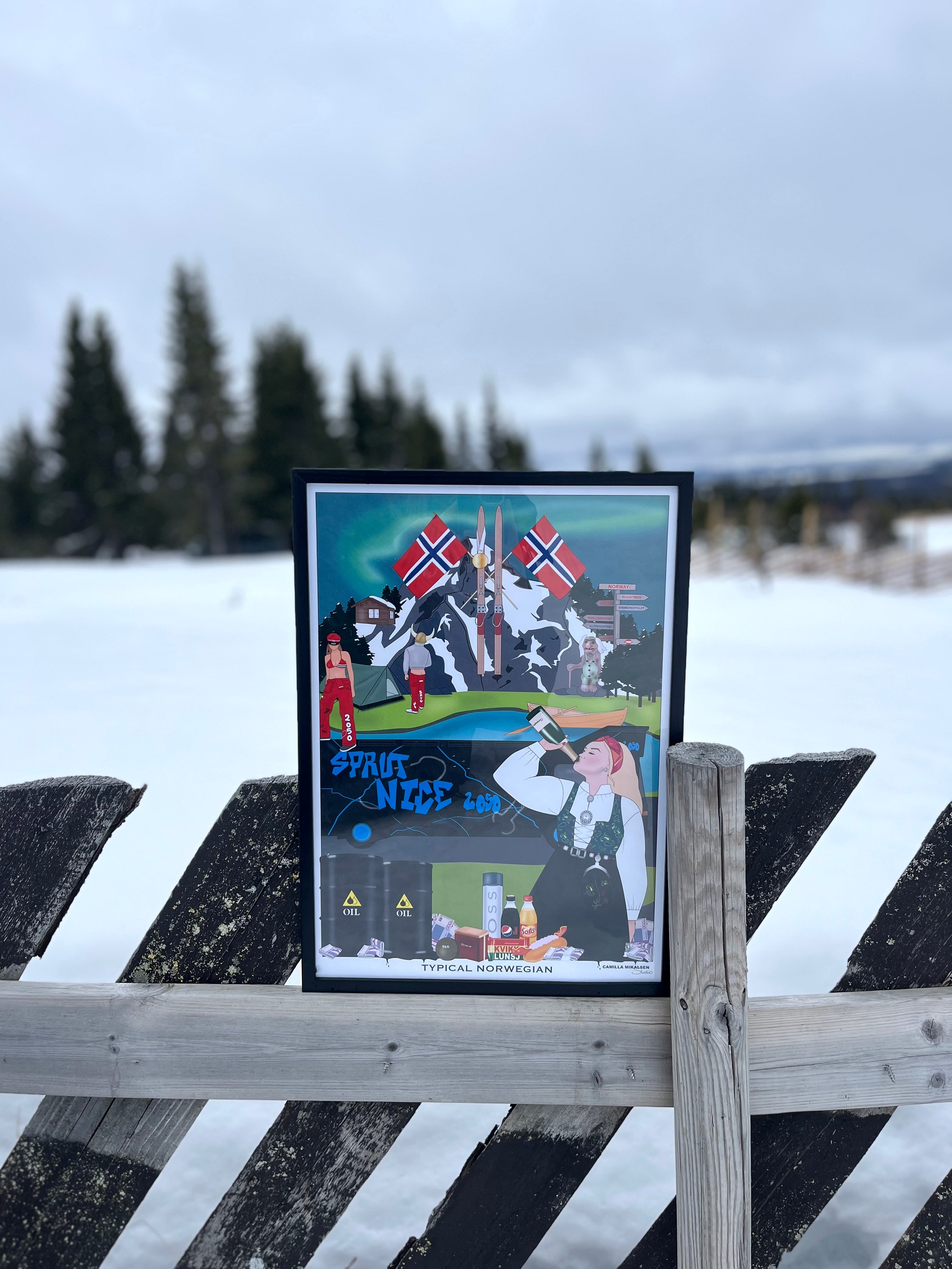 The Typical Norwegian Poster